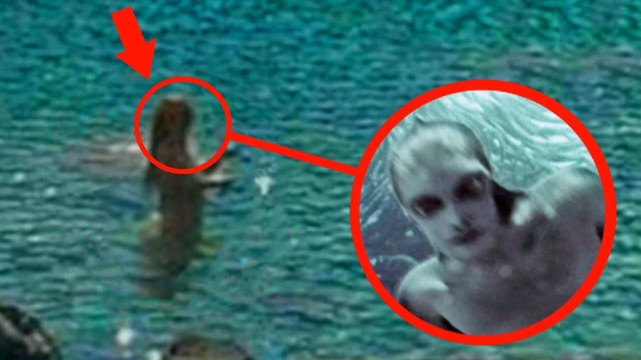 Покажи как выглядят настоящие русалки 5 Real Mermaids Caught On Camera Exist In Real Life! - YouTube