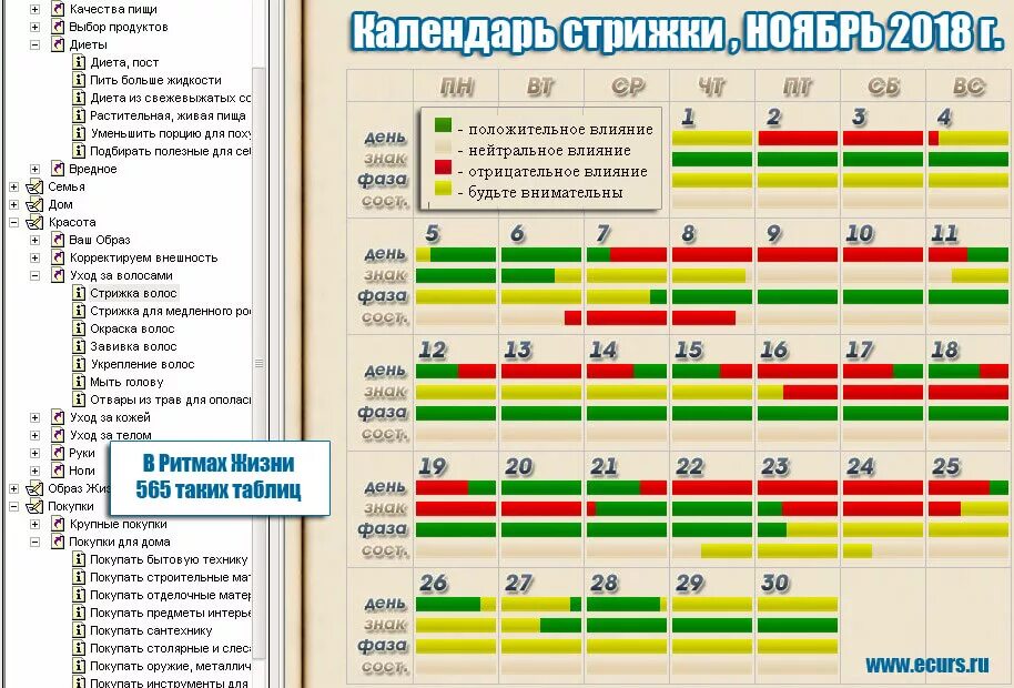 Покажи календарь стрижек Когда подстригать волосы в ноябре