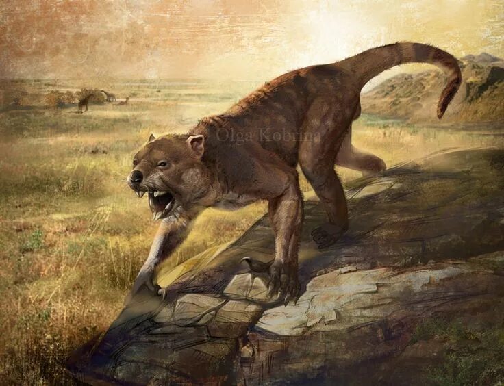 Покажи картинки древних животных Thylacoleo carnifex by olllga81 on DeviantArt Prehistoric animals, Ancient anima