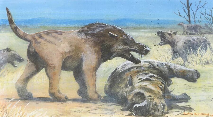 Покажи картинки древних животных Andrewsarchus Prehistoric Life Wiki Fandom