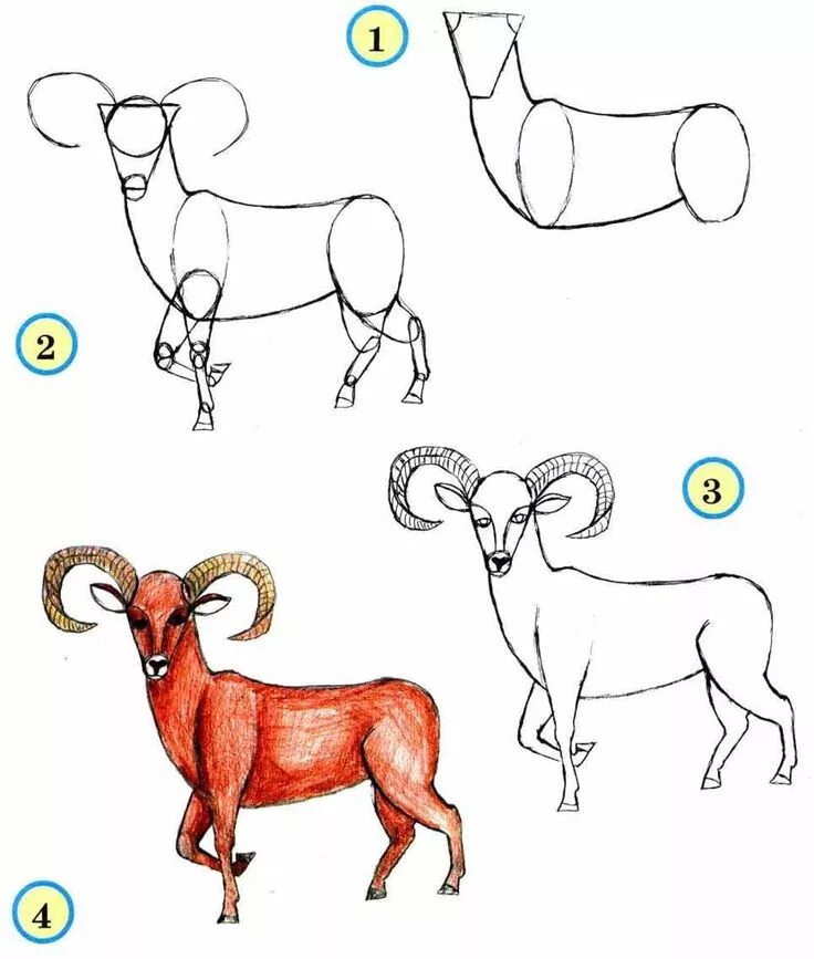 Покажи картинки как рисовать животных как научиться рисовать мультяшных животных: 6 тыс изображений найдено в Яндекс.К