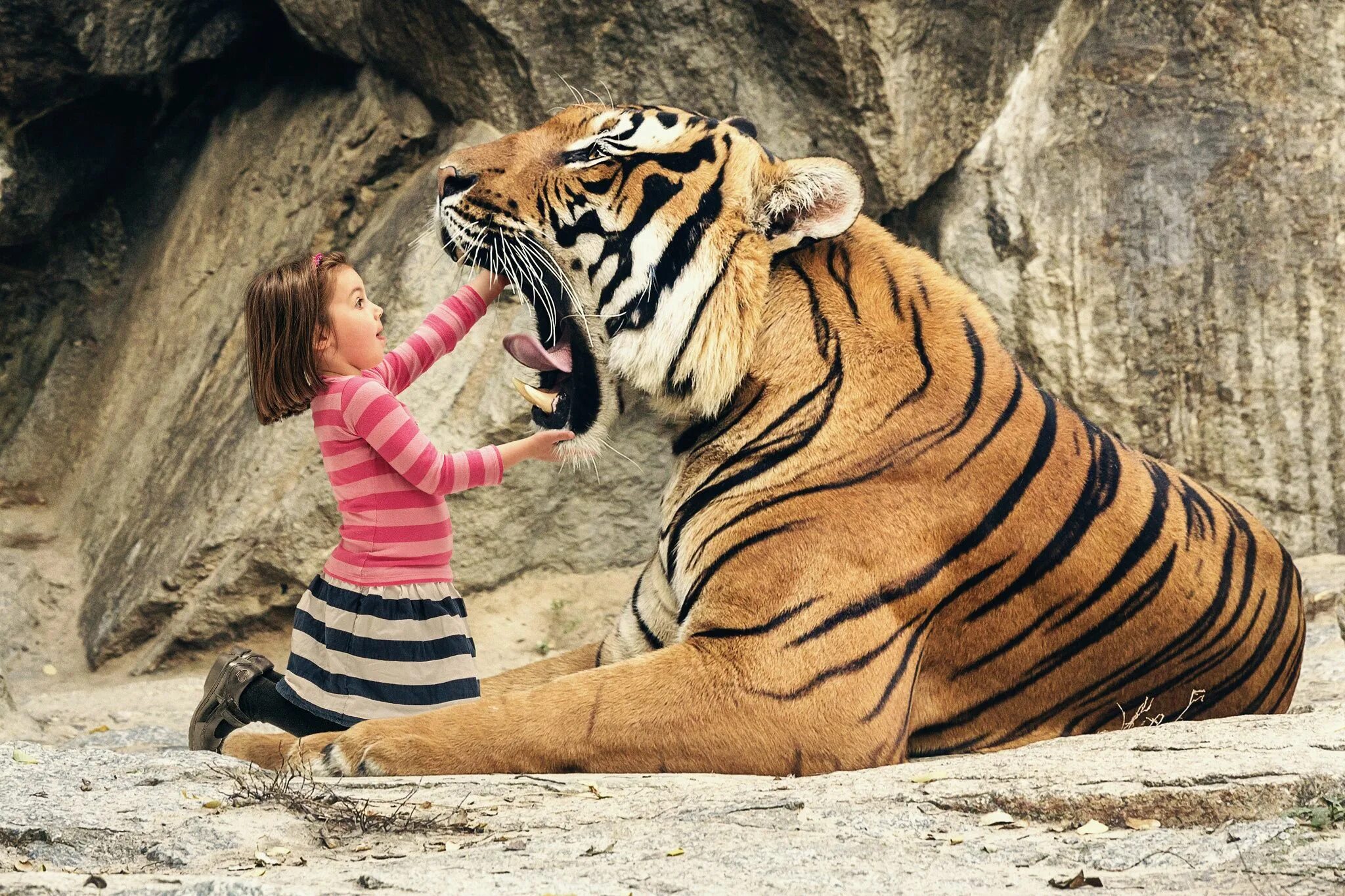 74 Of The Most Amazing News Photos Of 2014 Tiger pictures, Bengal tiger, Incredi