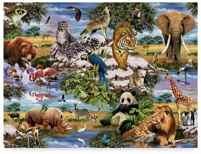 Покажи картинки всех животных мира Howard Robinson 'Animal Collage' Canvas Art - 32 x 24 x 2 in 2019 Animals, Canva