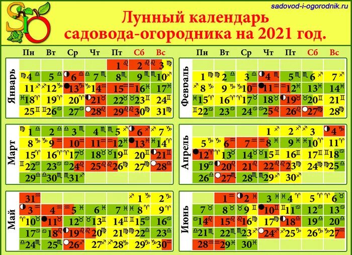 Лунный календарь - CoffeePapa.ru