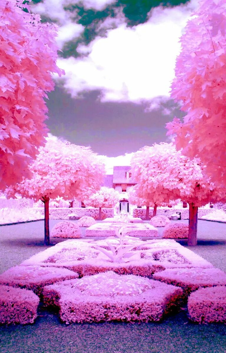 Покажи розовые фото Pink World Pink life, Pink clouds, Beautiful backgrounds