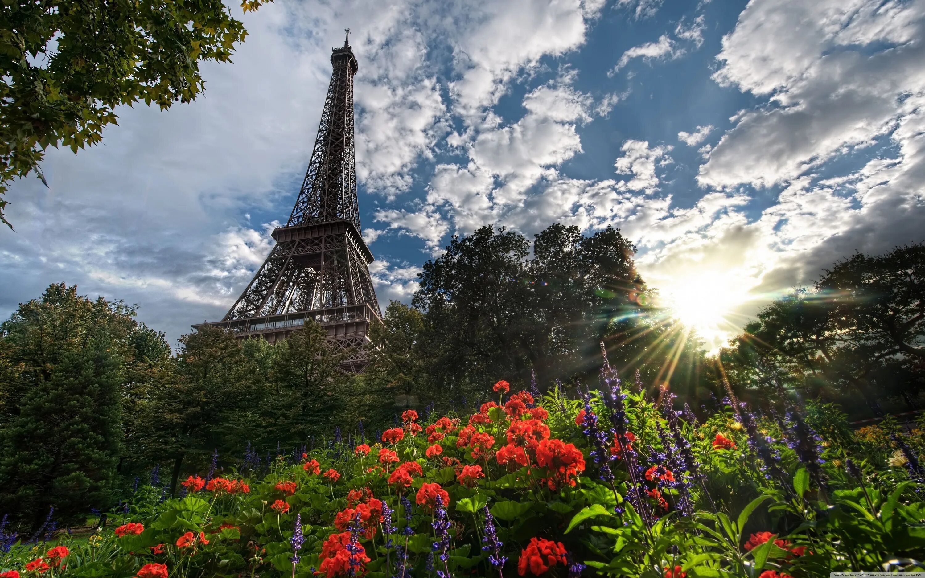 Покажи самые красивые фото Park View Of Eiffel Tower Ultra HD Desktop Background Wallpaper for 4K UHD TV : 