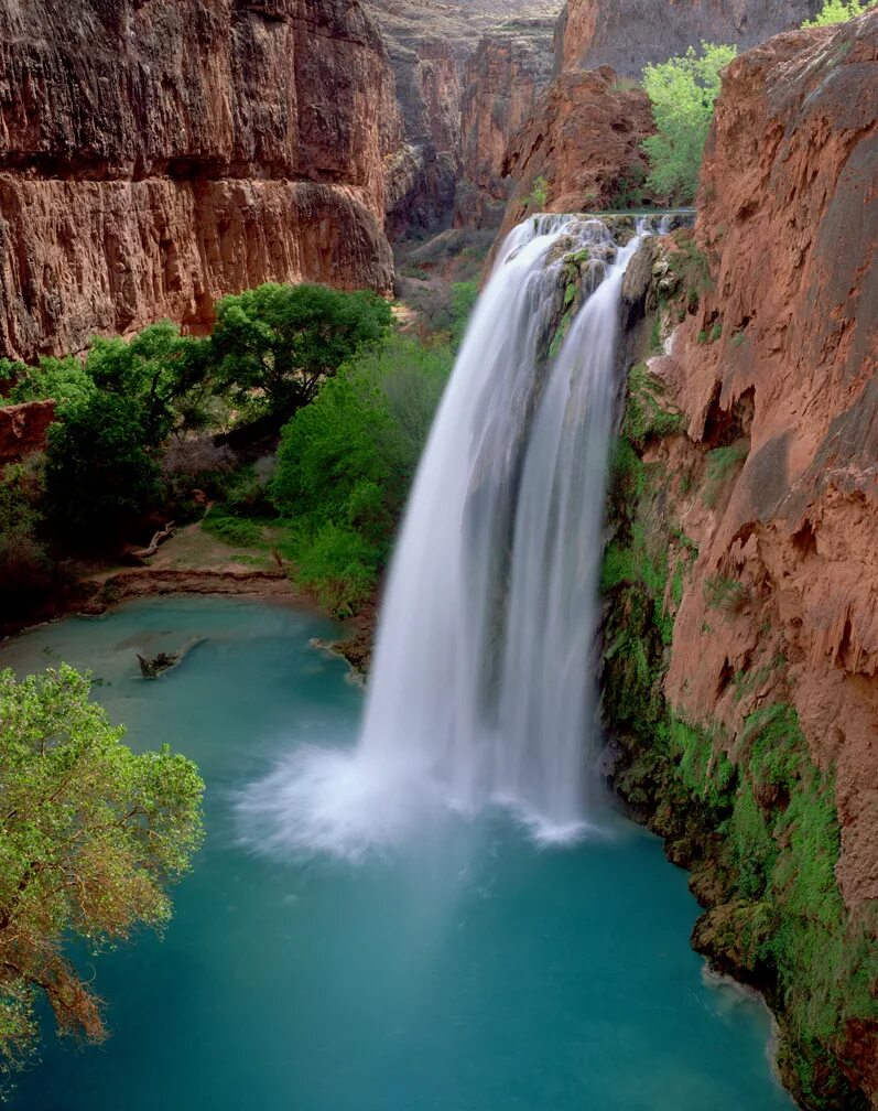 Покажи самые красивые фото в мире Живые струи водопада - Фото Дом Солнца