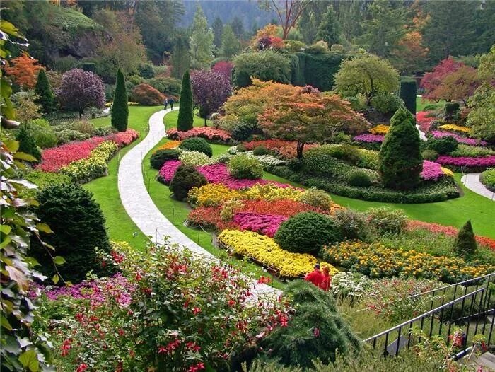 Покажите сады фото GARDENS Giardini botanici, Giardino, Giardinaggio