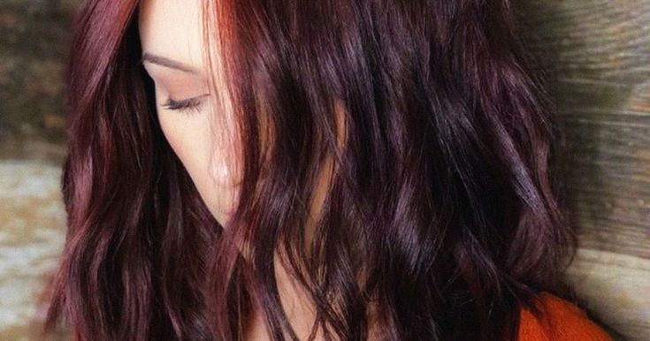 Покрасить волосы хна гвоздика красное вино фото This "Red Wine" Hair Trend Is Almost As Good As A Glass Of Merlot Wine hair colo