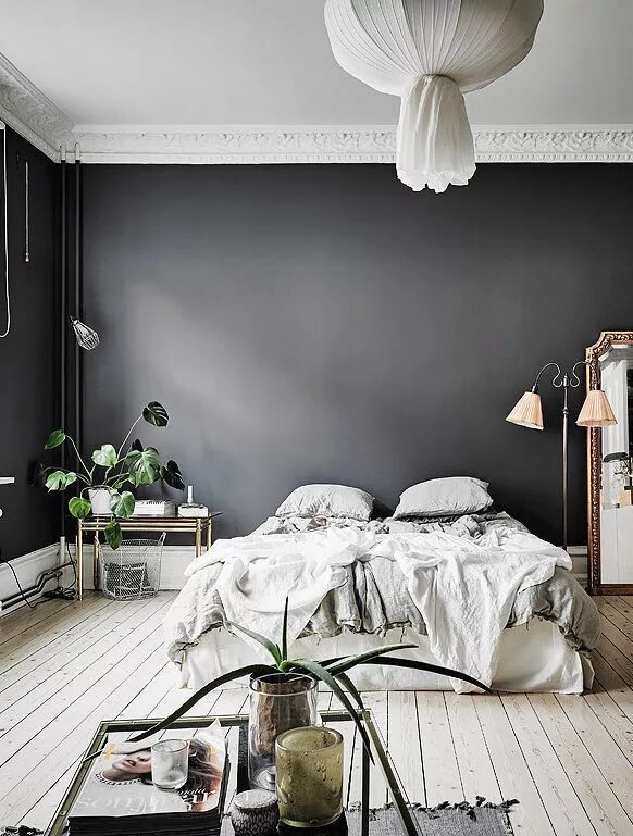 Покраска стен в серый цвет фото Black walls - COCO LAPINE DESIGN Серые стены в спальне, Красочная спальня, Гости