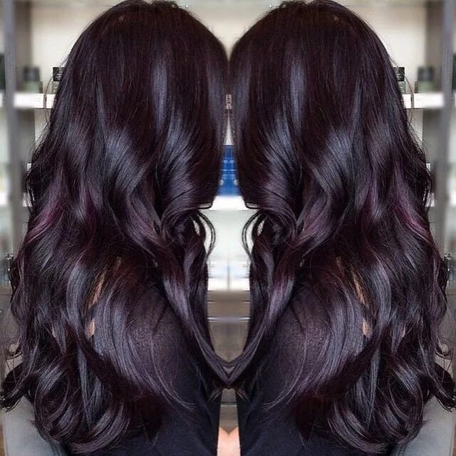 Покраска волос темный цвет фото Pin on Hair colors Plum hair, Hair color dark, Long hair styles