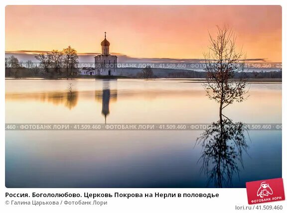 Покрова на нерли фото в разлив Россия. Богололюбово. Церковь Покрова на Нерли в половодье. Стоковое фото № 4150