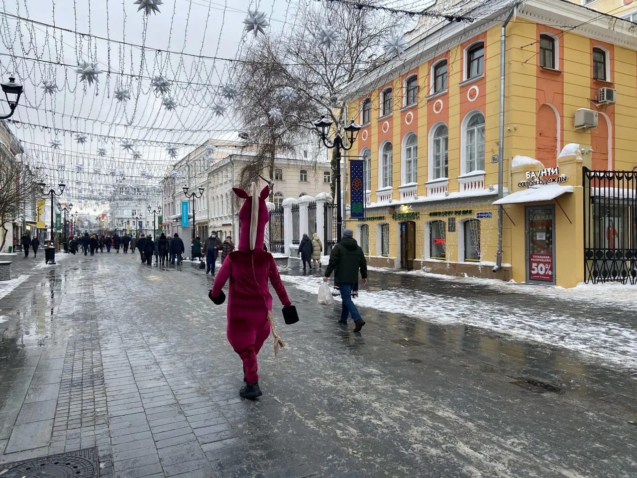 Покровская нижний новгород фото Нижегородцы снова жалуются на животных-вымогателей с Большой Покровской Page 7 О