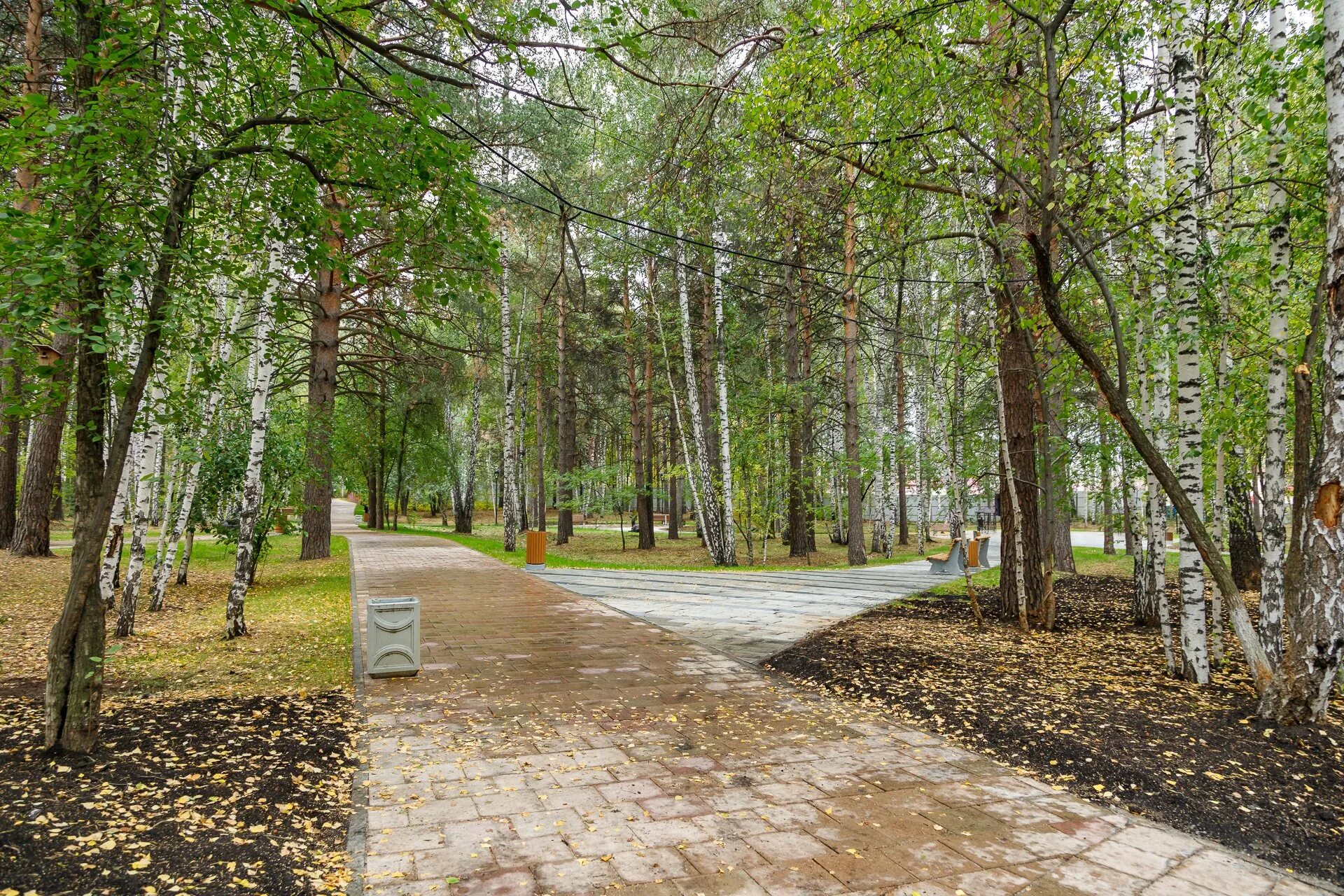 Покровский парк фото верхняя пышма В Верхней Пышме открыли лыжероллерную трассу в парке отдыха, строительство котор