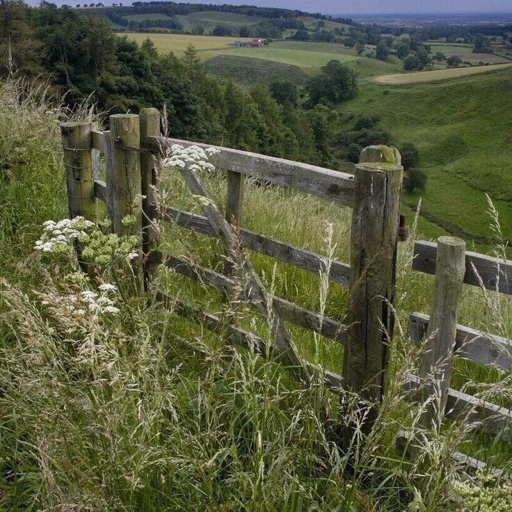 Покровский забор фото Pin on wanderings Country fences, Country scenes, Scenery