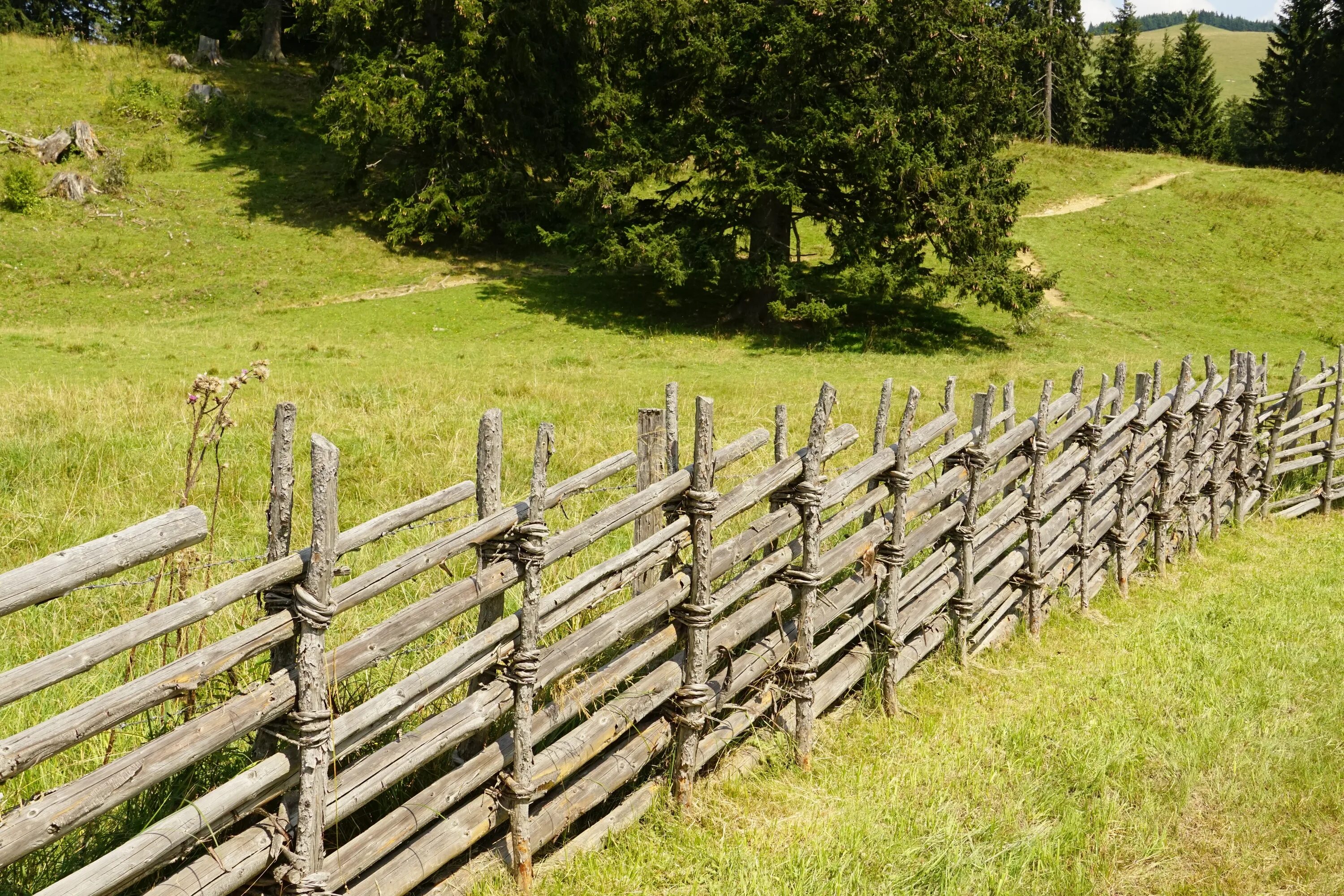 Покровский забор фото Wooden fence along a pasture in the countryside free image download