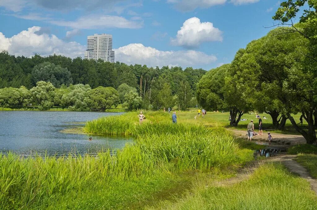 Покровское стрешнево район фото Panorama: Парк Покровское-Стрешнево, park, Russia, Moscow, 5th Voykovsky Drive, 