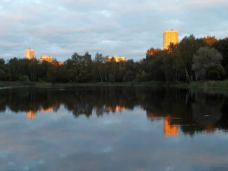 Покровское стрешнево район москвы фото Парк Покровское-Стрешнево. 12 месяцев.: moya_moskva - ЖЖ