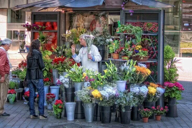 Покупка цветов фото Florists i 2024