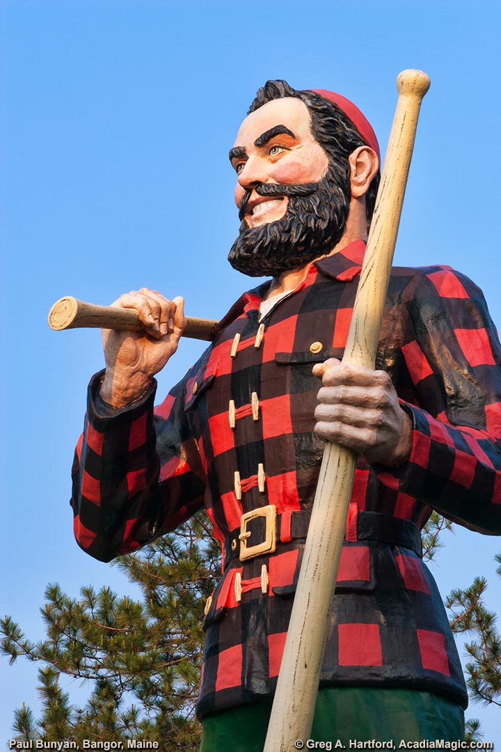 Поль баньян фото Εργαστήρι Steam::Paul Bunyan's Neighborhood