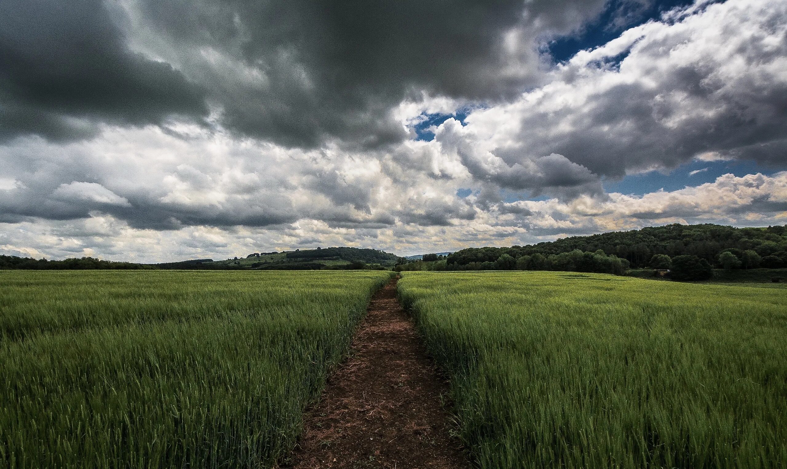 Поле 4к фото Wallpaper : sky, dark, clouds, field, landscape, outdoors 2560x1526 - WallpaperM