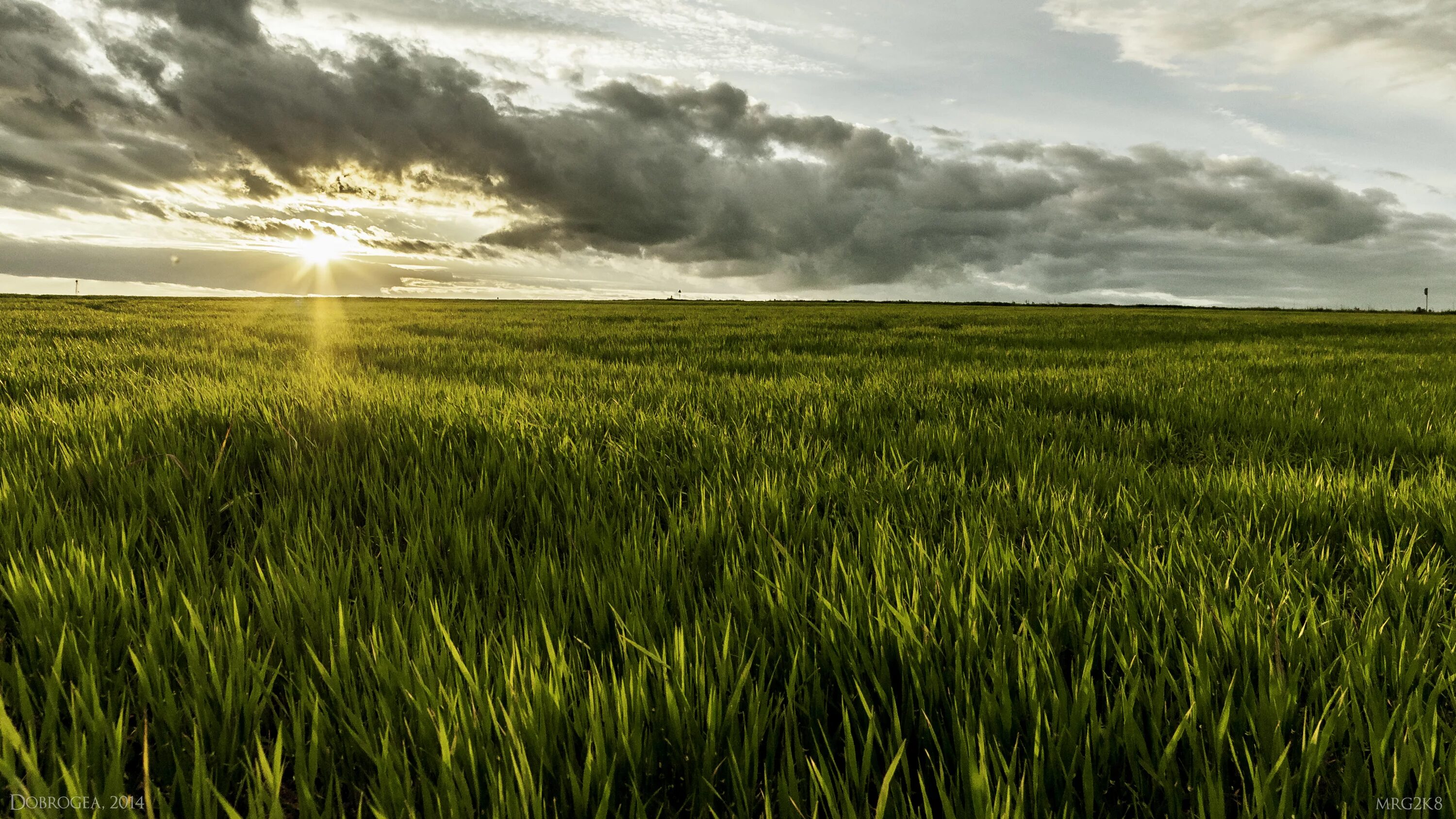 Поле 4к фото Wallpaper : sunlight, landscape, food, nature, sky, clouds, Romania, green, morn