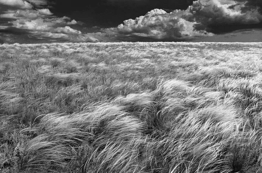 Thunderstorm Impending thunderstorm ... Johan Neven Flickr