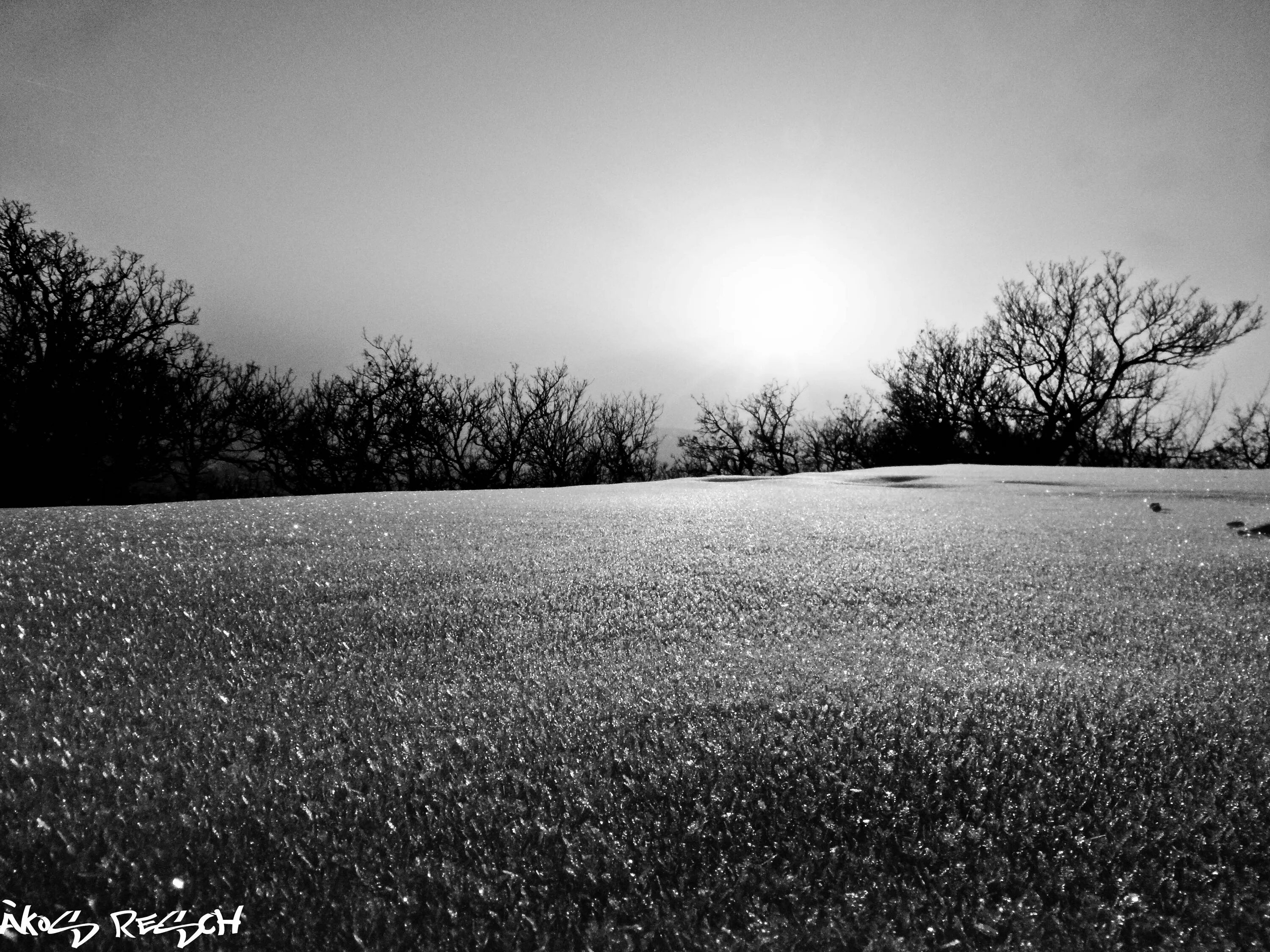 Поле чб фото Black and white landscapes nature winter wallpaper Black and white landscape, La