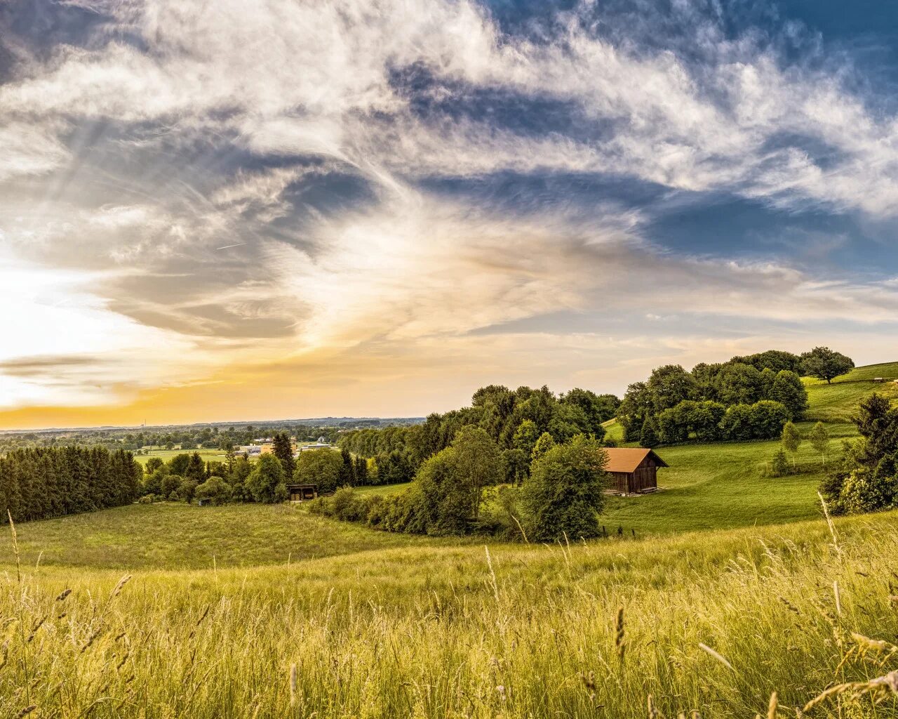 Поле деревня фото Download wallpaper greens, field, summer, the sky, grass, the sun, clouds, trees