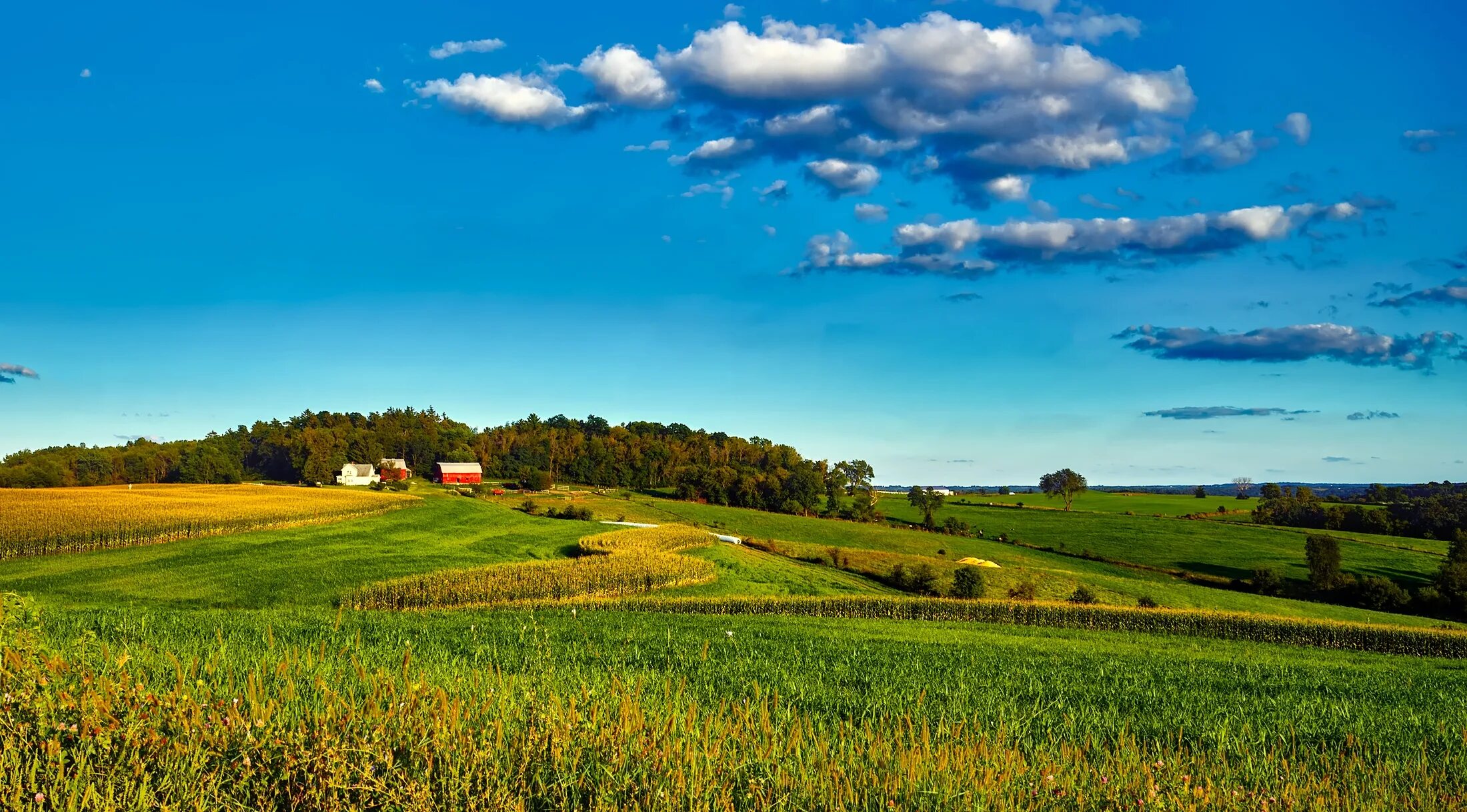 Поле деревня фото Free Images : landscape, nature, forest, horizon, cloud, sky, farm, lawn, meadow