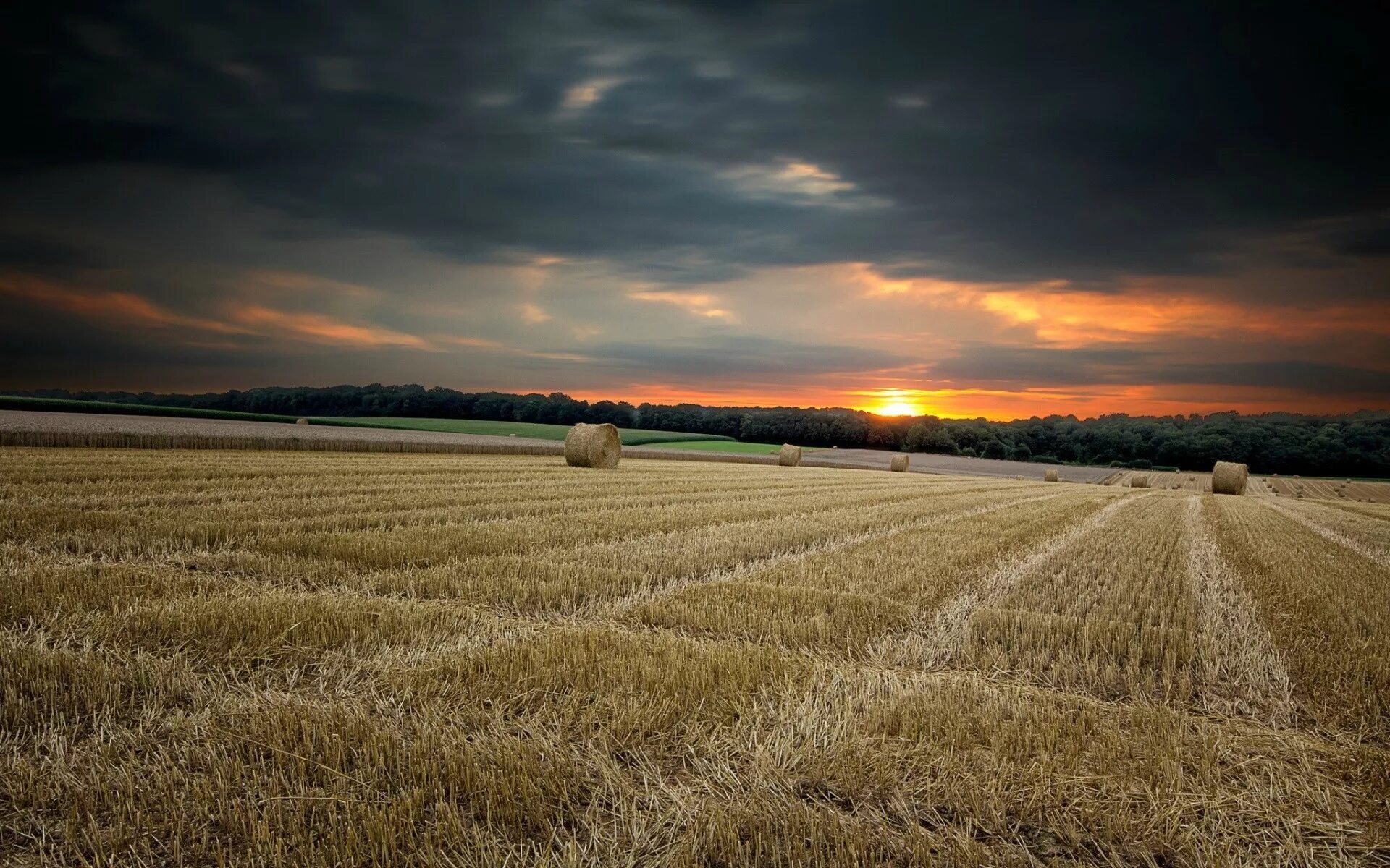 Поле фото 2000 nature fields_remove_field_with_hay_110967 AgroTimes.by