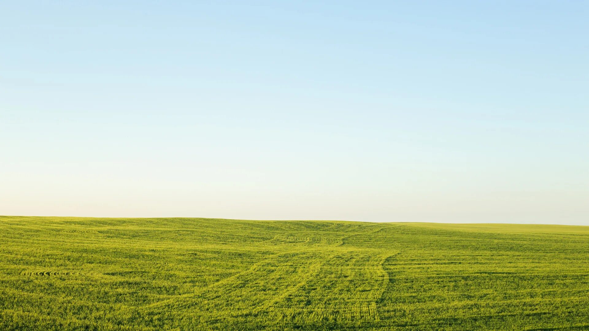 Поле фото для фотошопа Download wallpaper field, the sky, grass, horizon, green, section nature in reso