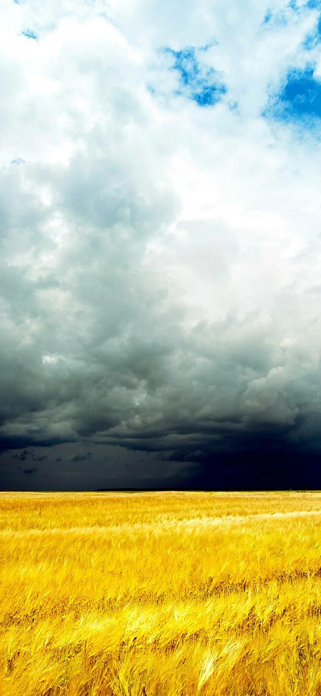 Поле фото на телефон Storm Clouds - 1080x2340