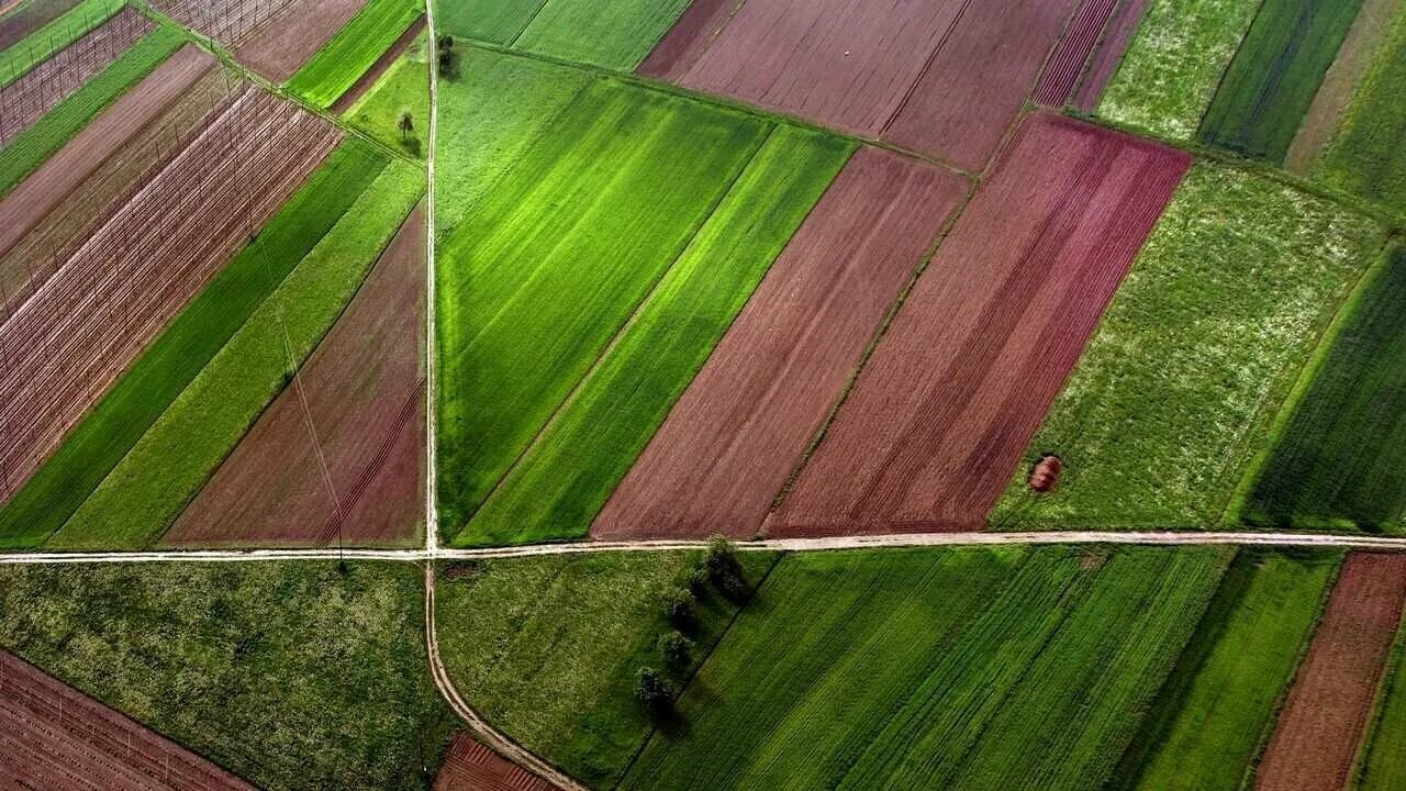 Поле фото сверху Картина на холсте 40x60 LinxOne "Поля вид сверху ковры дороги" интерьер для дома