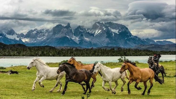 Поле где скачут кони фото 500px: Evgeny Tchebotarev's Amazing Photos of Patagonia The Weather Channel Hors