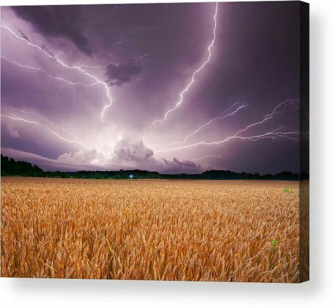 Поле гроза фото Storm over wheat Acrylic Print by Alexey Stiop Fine art america, Outdoor, Weathe