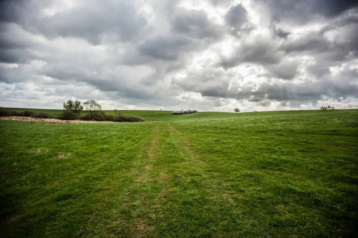 Поле любительское фото Free Images : landscape, tree, nature, horizon, cloud, sky, field, farm, lawn, m