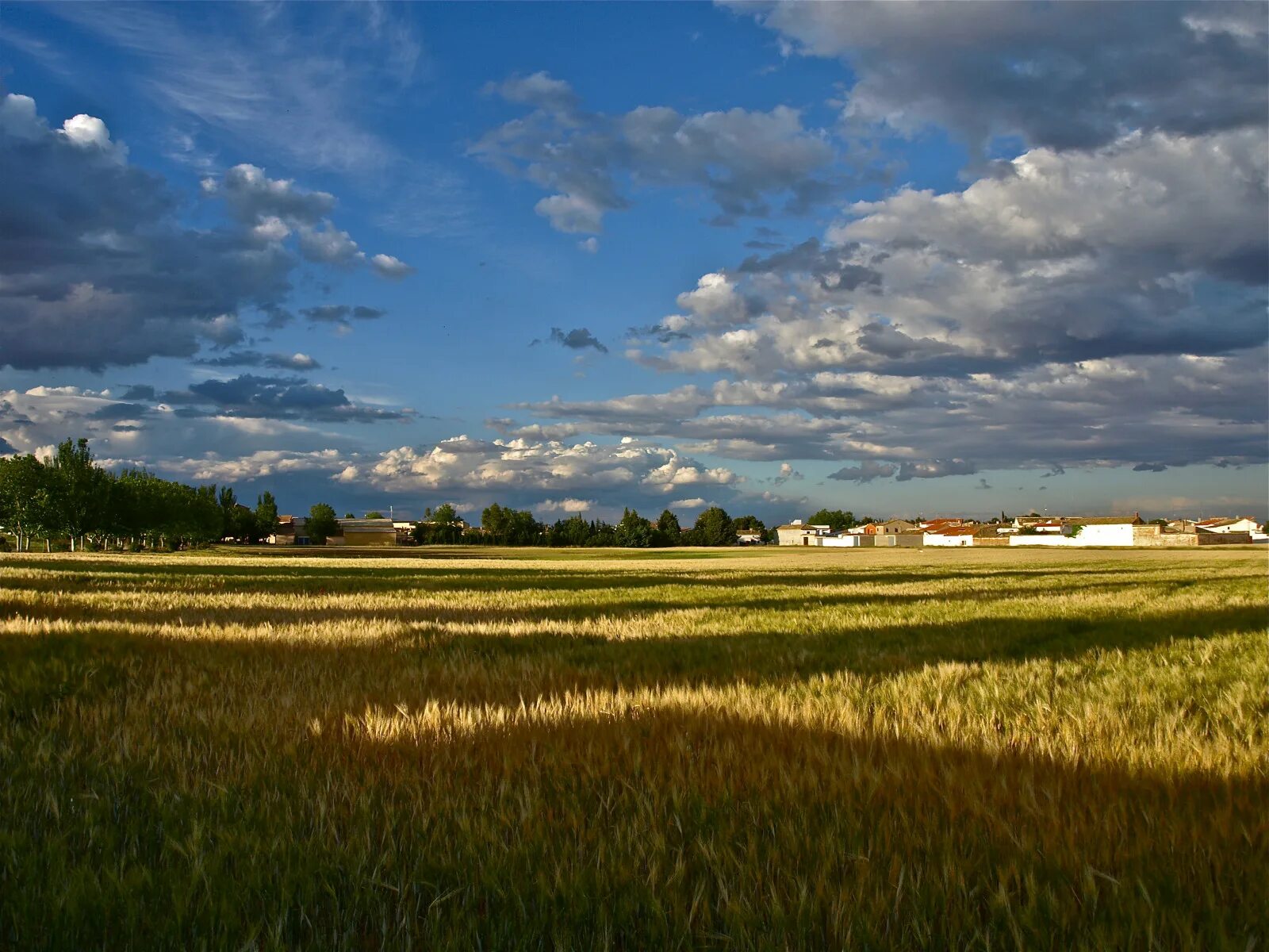 Sky, Field, Farm, Cloud Picture. Image: 132273870