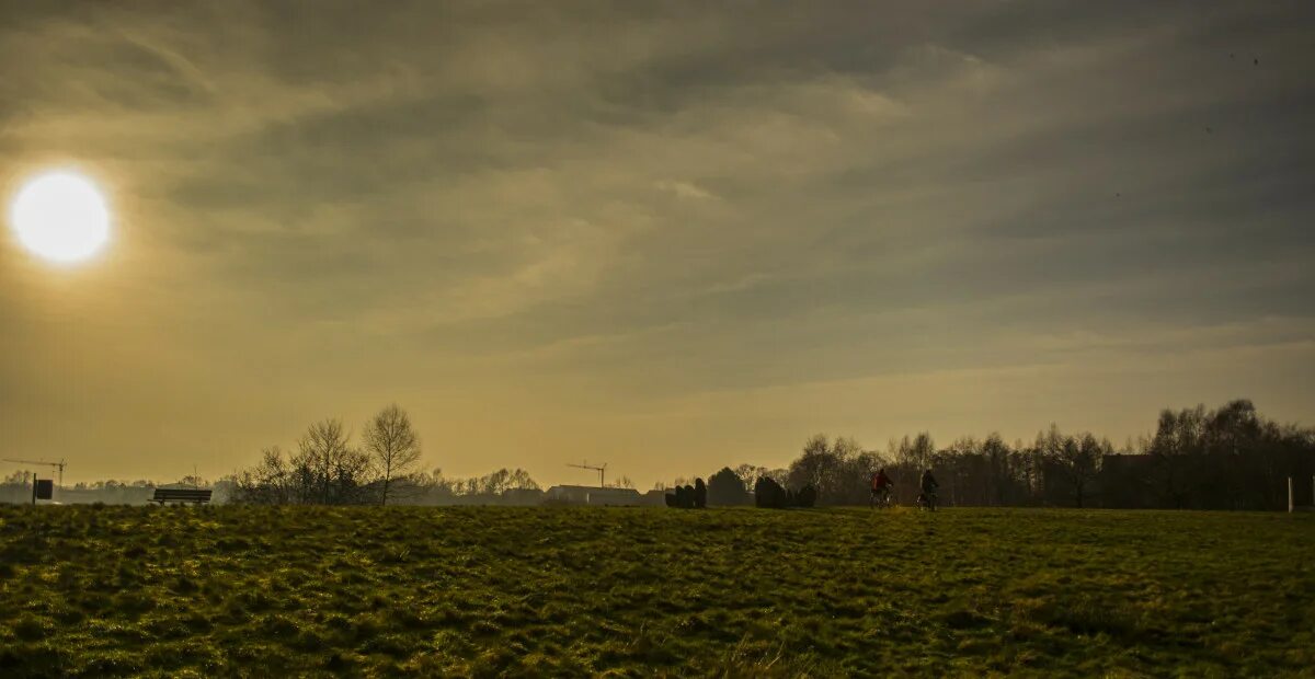 Поле любительское фото Free Images : landscape, tree, nature, horizon, light, cloud, sky, sun, sunrise,