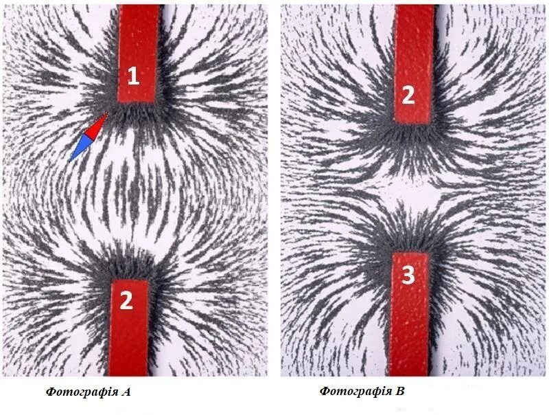 Поле магнита фото Постійні магніти. Магнітне поле Землі Тест на 5 запитань. Фізика