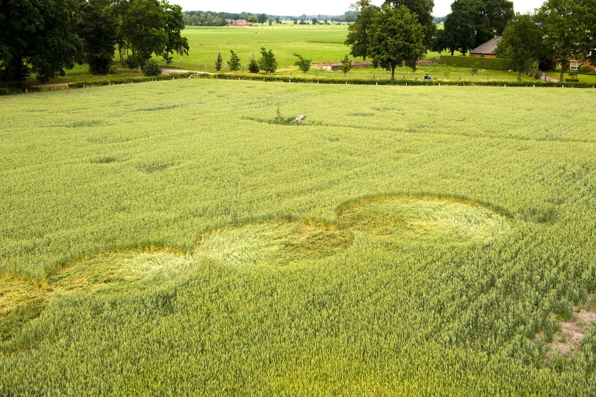 Поле найти по фото The fascinating history of crop circles