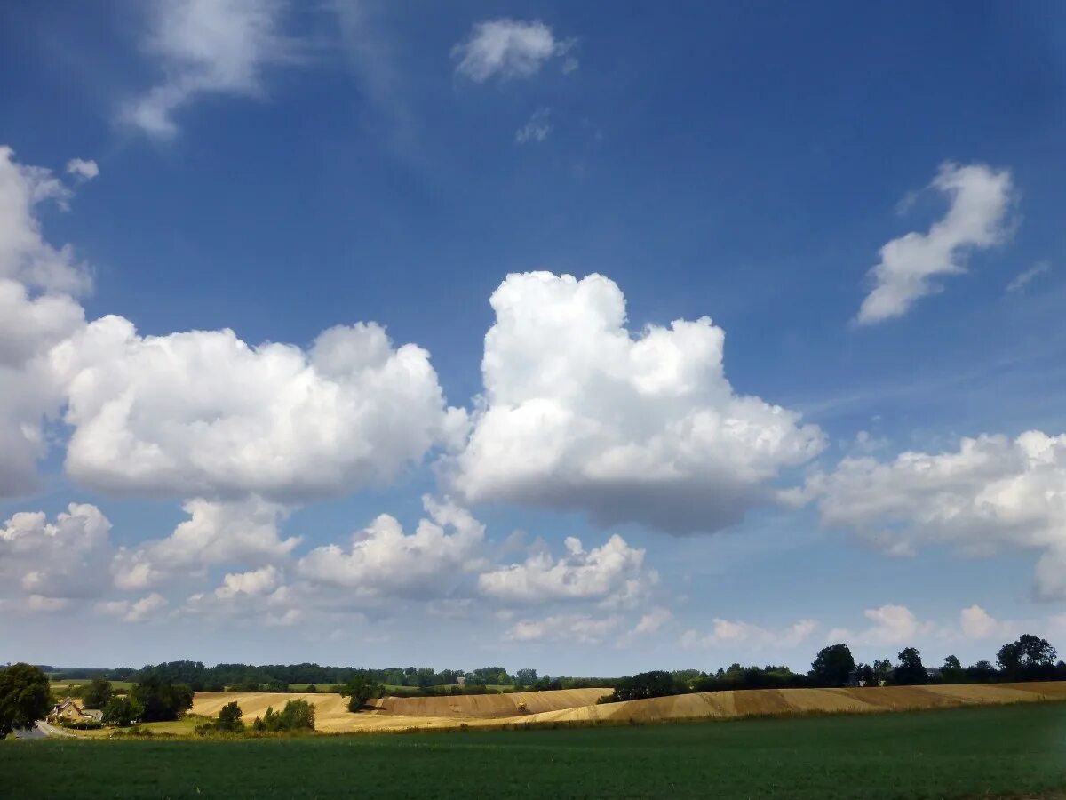 Поле облака фото Free Images : landscape, nature, grass, horizon, cloud, sky, field, lawn, meadow