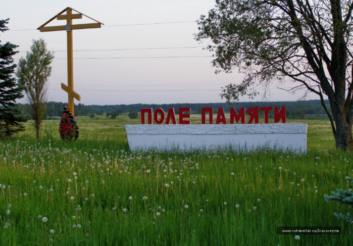 Поле памяти фото Поле памяти песня