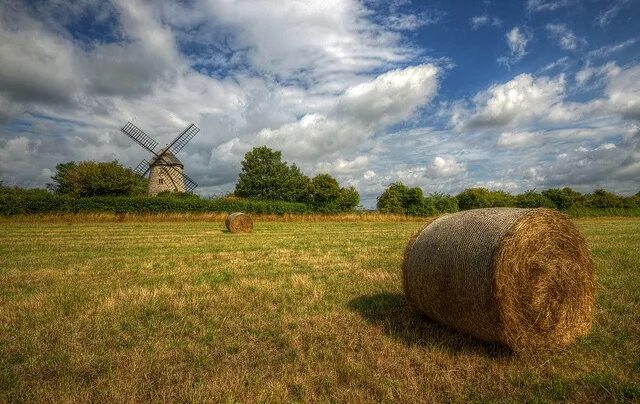 Поле со стогами сена фото stembridge mill, somerset. Somerset, Natural landmarks, Views