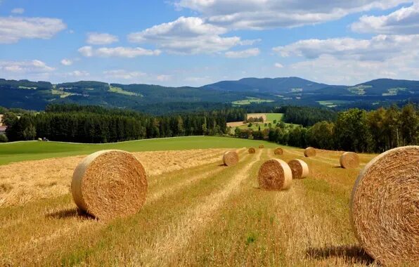 Поле со стогами сена фото Download wallpaper field, forest, grass, clouds, mountains, nature, hills, dal, 