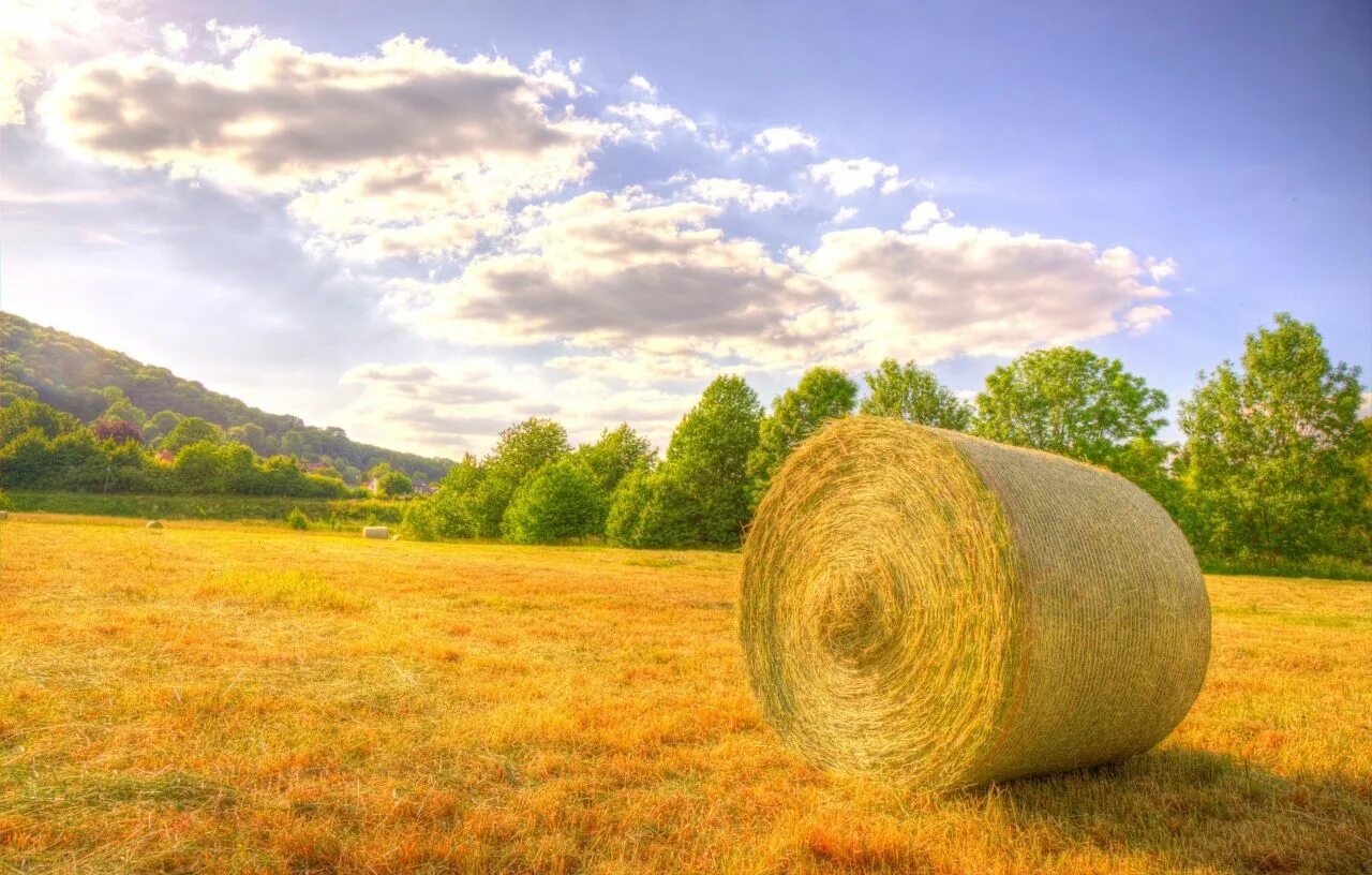 Поле со стогами сена фото Wallpapers Fields Sky Hay Clouds Nature Image #481823 Download Nature images, Na