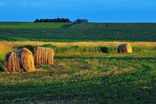 Поле со стогами сена фото A Roll in the Hay Farm day, Nature wallpaper, Farm