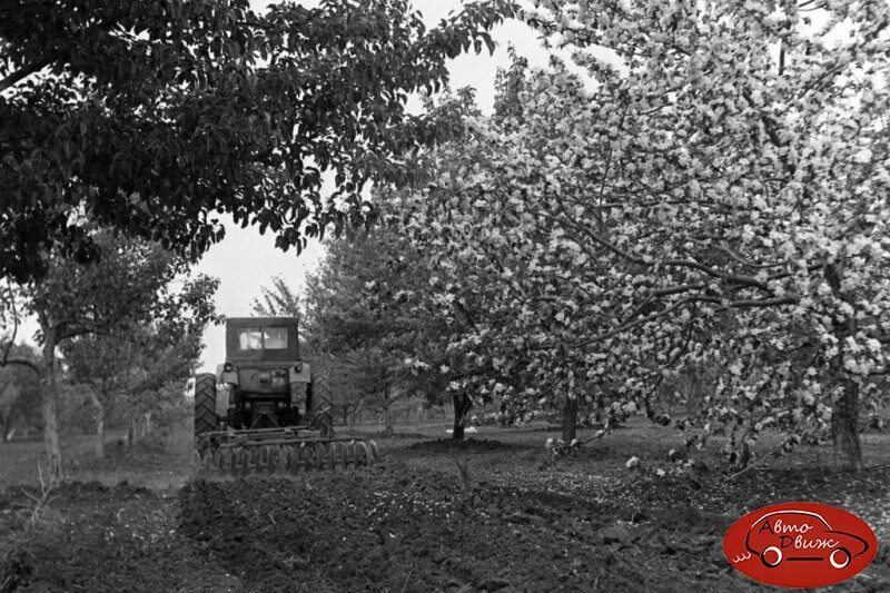 Поле ссср фото Трактора в полях СССР: 12 архивных фотографий АвтоДвиж Дзен