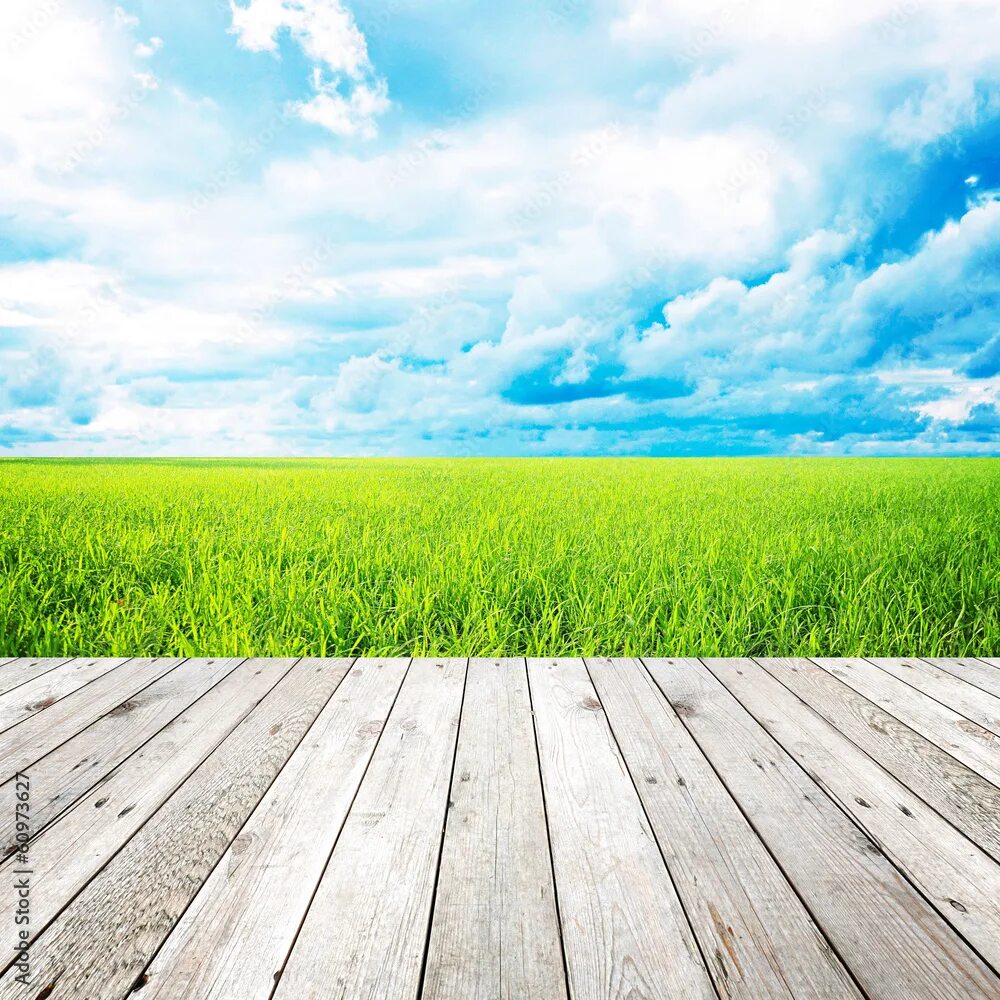 Поле стоковое фото Wooden pier with grass field and blue sky background фотография Stock Adobe Stoc