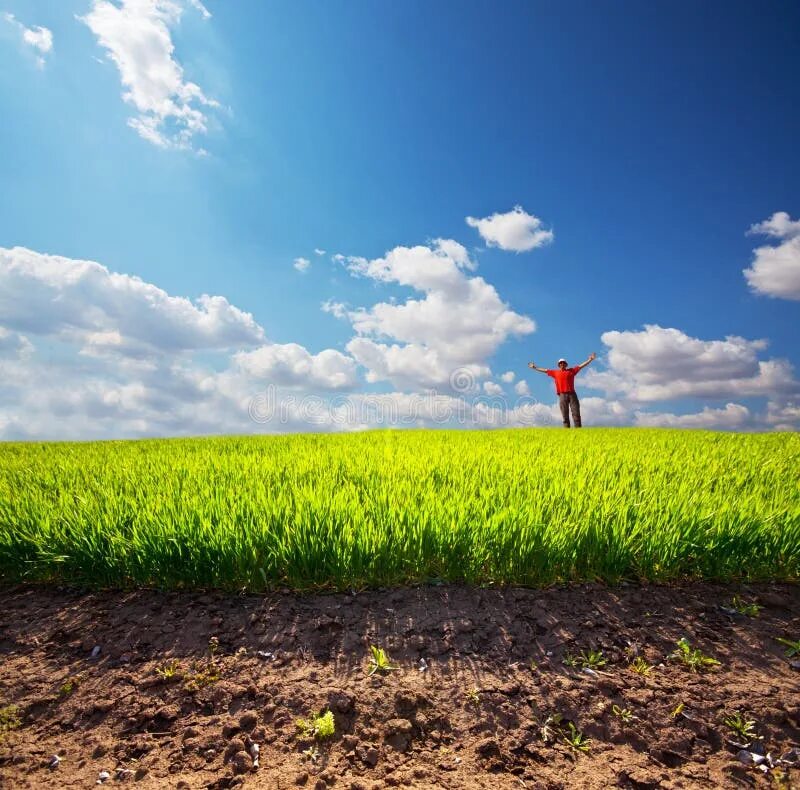 Поле стоковое фото Man in field stock photo. Image of rural, land, blue, nature - 9666232